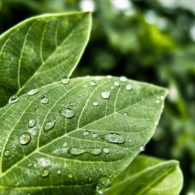 1920 x 1080 HD Wallpapers 338